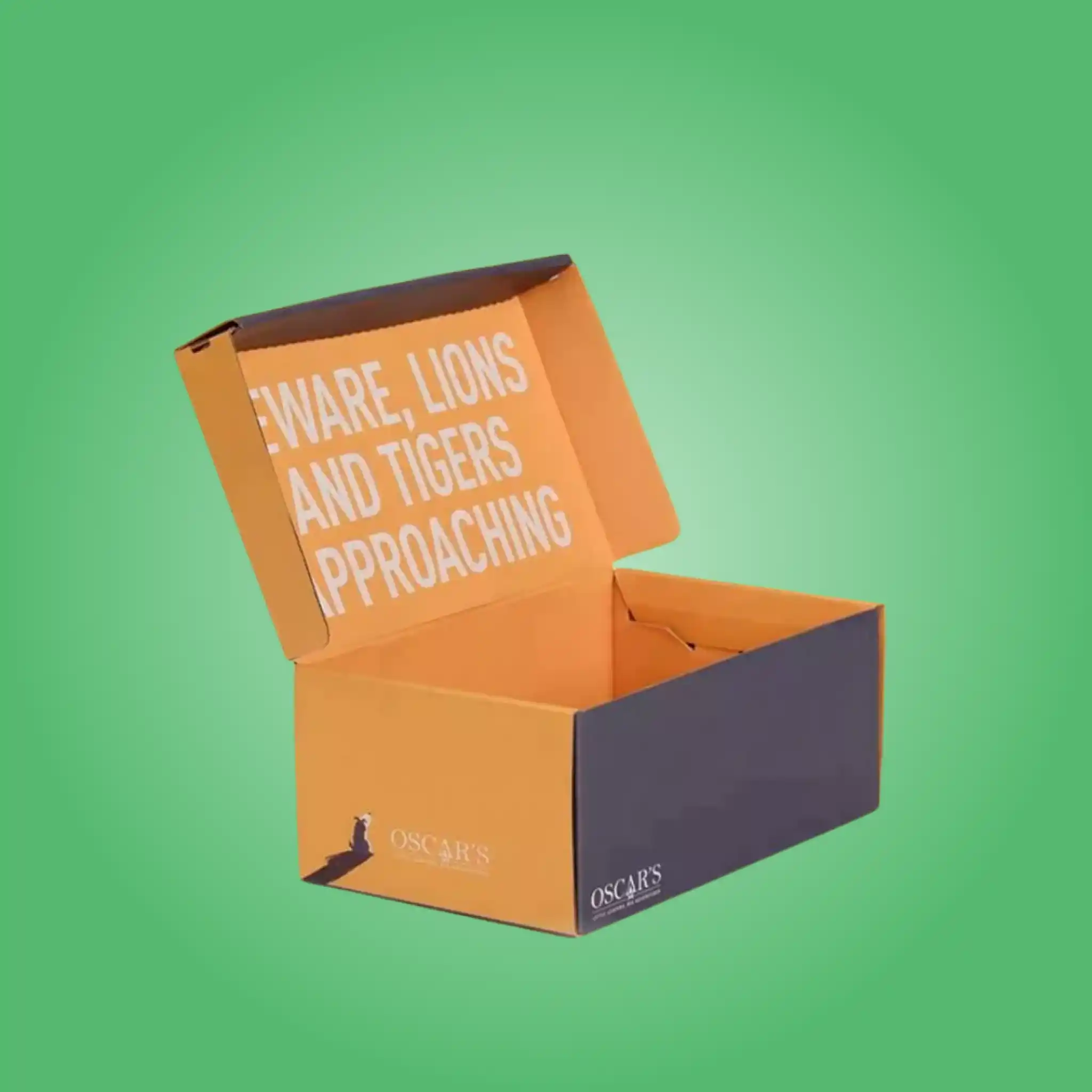 Custom Cardboard Shoe Boxes