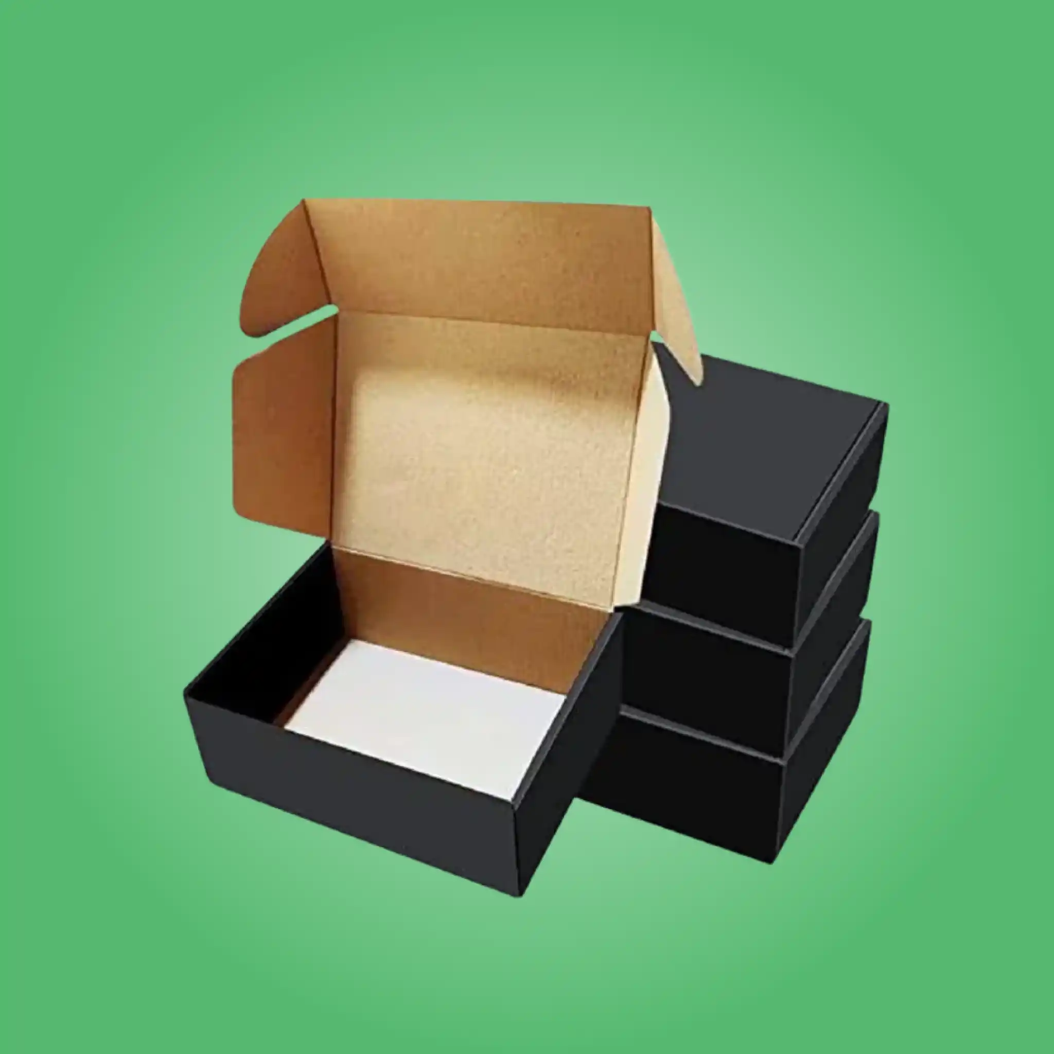 Custom Ear Lock Mailer Boxes